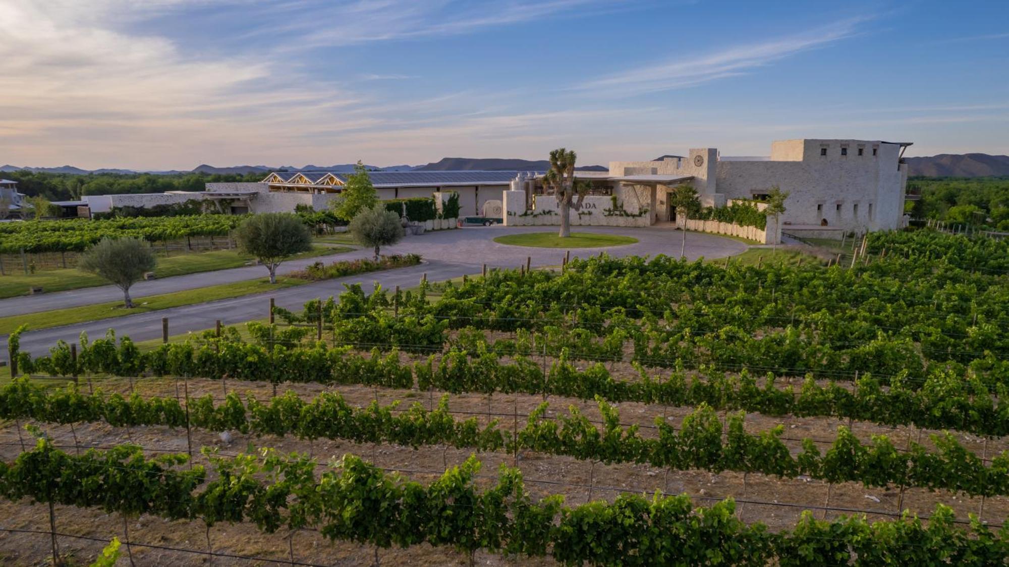 Hotel Vinicola Parvada By Lumina Parras de la Fuente Εξωτερικό φωτογραφία