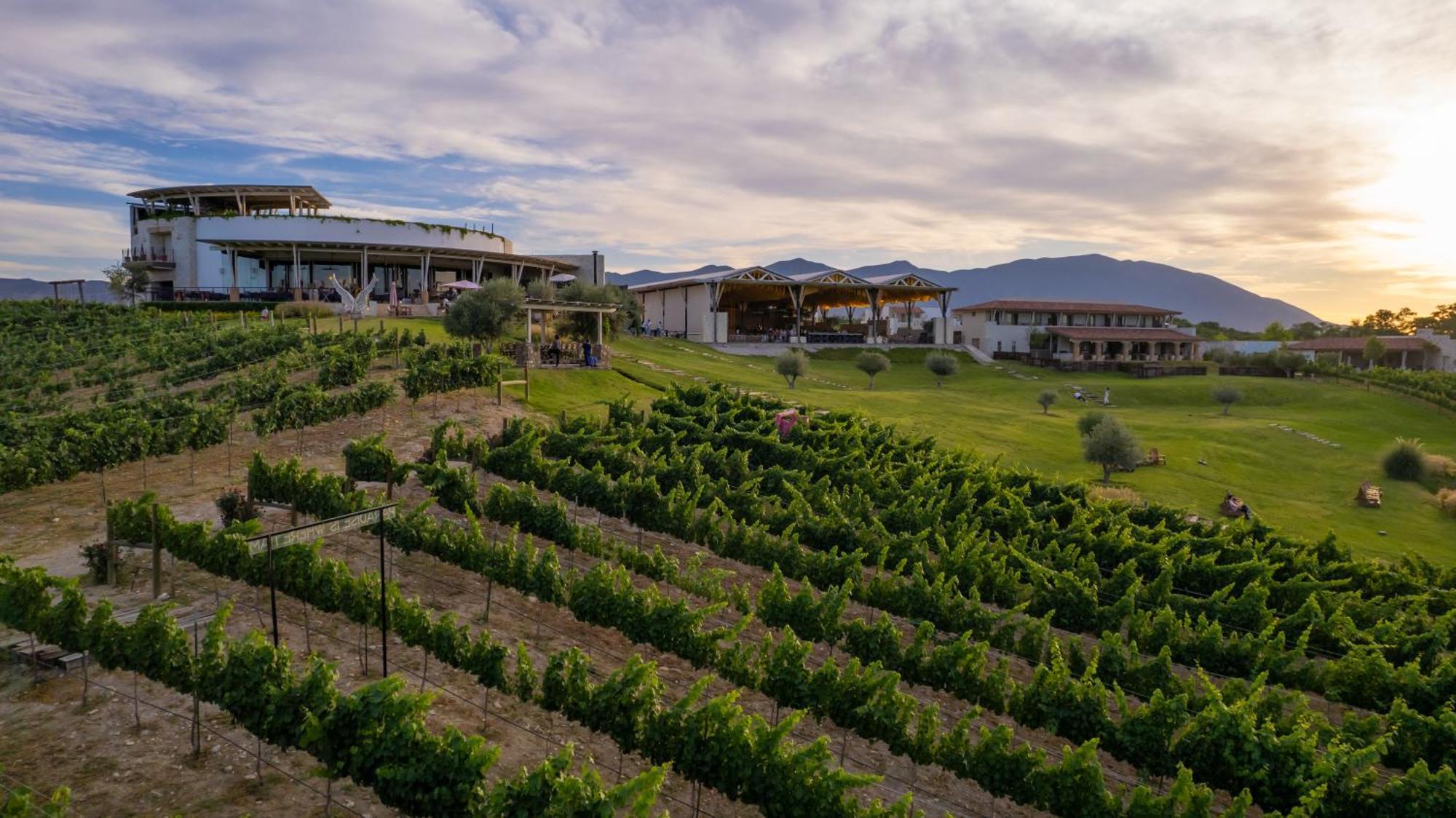 Hotel Vinicola Parvada By Lumina Parras de la Fuente Εξωτερικό φωτογραφία